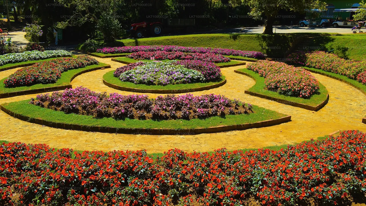 Ashok Vatika - Hakgala Botanical Garden