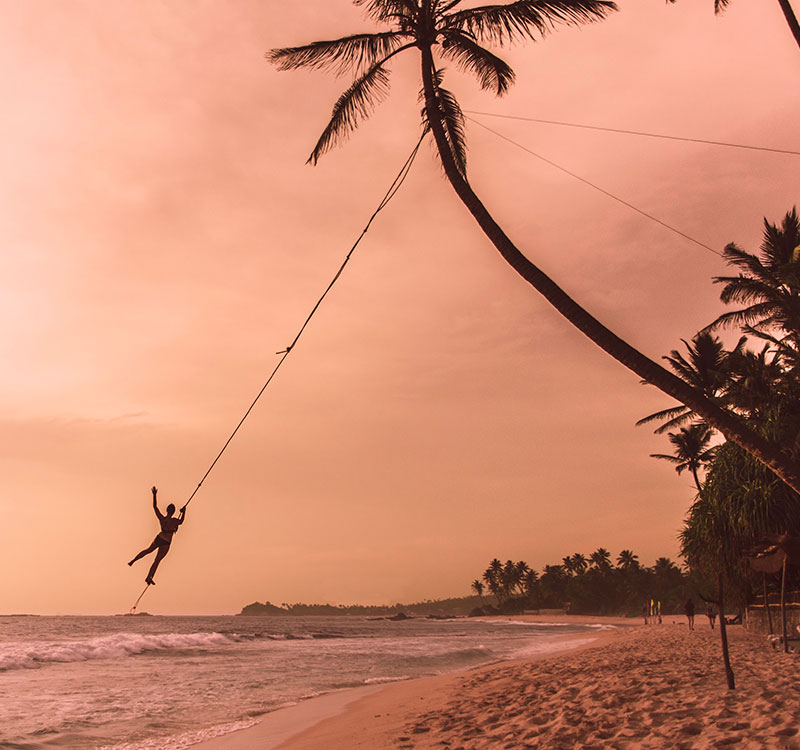 Palm Tree Swing