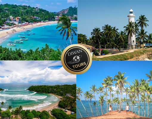 southern coastal tour