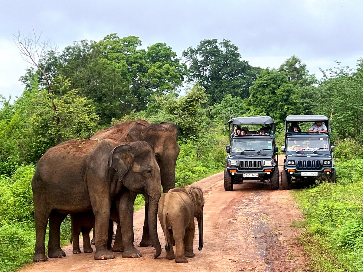 Udawalawe National Park