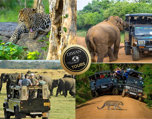 yala safari tour